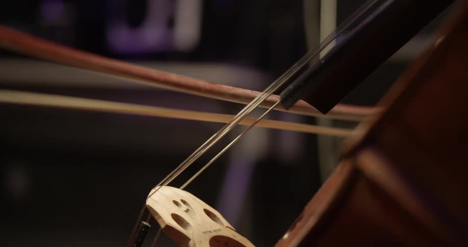 A person uses a bow to play the cello