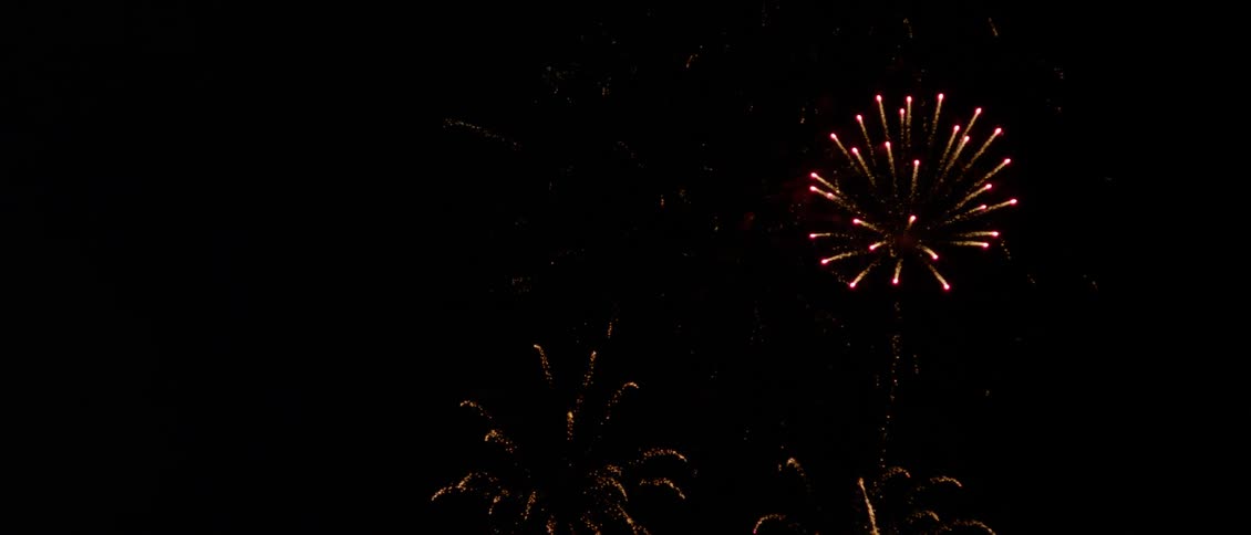 Fireworks exploding in the dark night sky