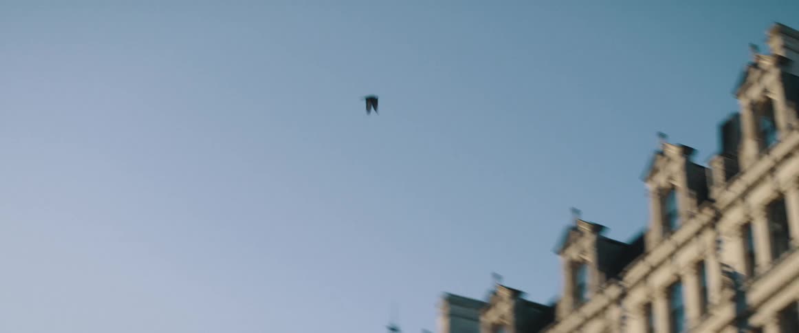 Pigeon flying around the buildings in the citys downtown at morning