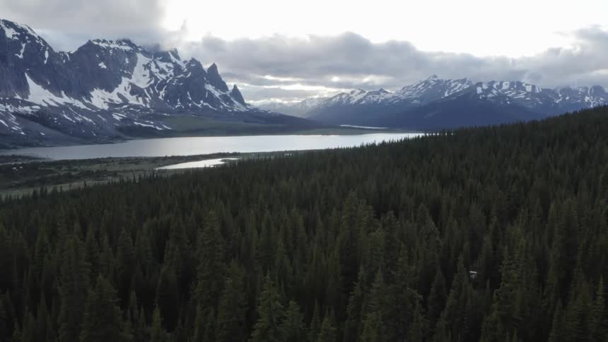 Forest of fir trees near a lake with snow covered mountains in the distance under a cloudy sky