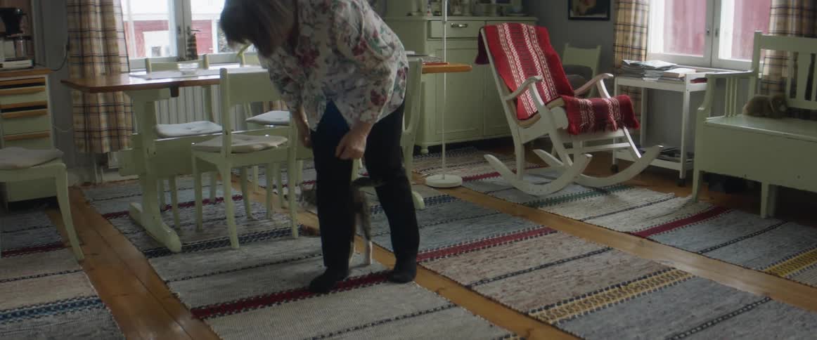 A cat jumps down from off of a counter and approaches a woman standing in a dining room who bends down to pet it