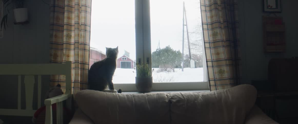 A cat sits on a window sill looking out at the snow