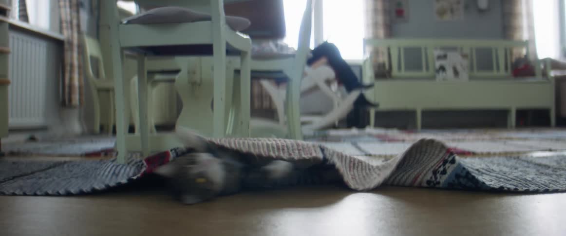 A cat plays on the floor underneath an area rug