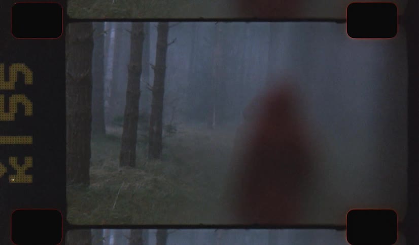 Woman wearing a red parka standing in the fog on a forest caught on film