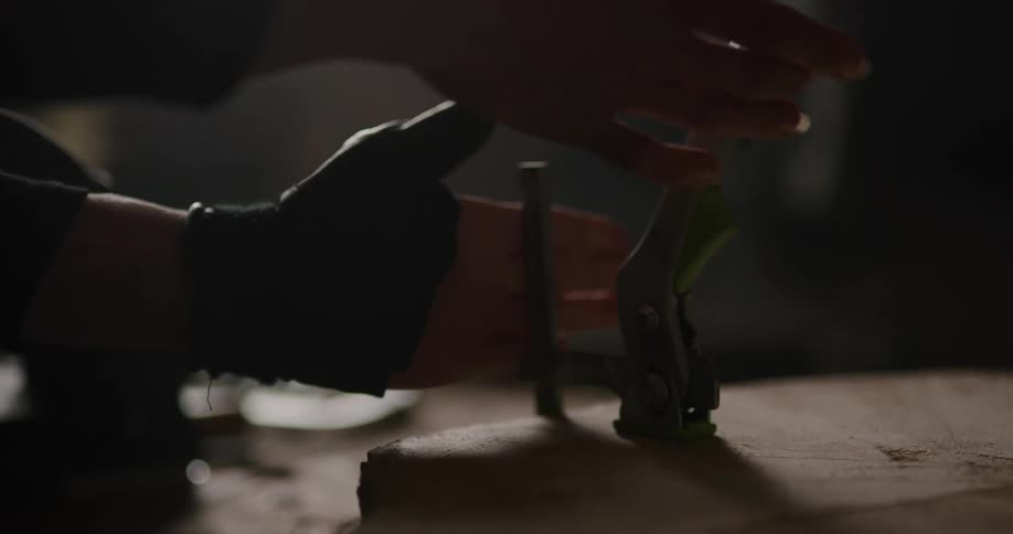 A woman puts a clamp on a cut tree trunk