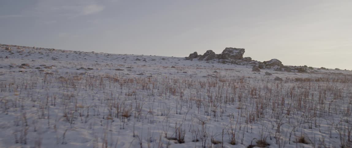 Snow covering a field and some boulders