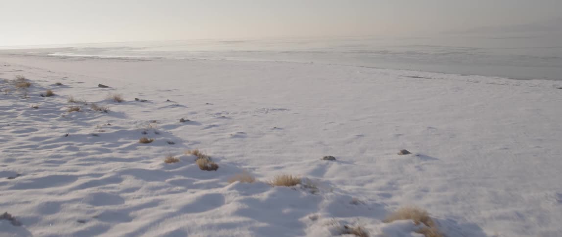 Moving over a field covered with snow leading to the water