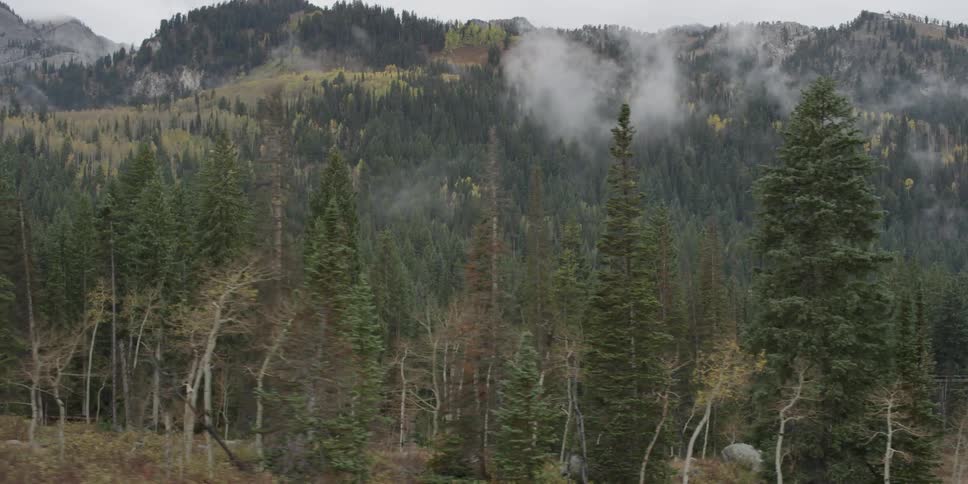 Moving past a hilly area with many trees
