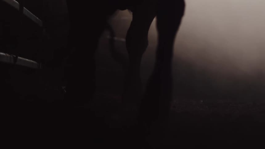 A horse shown from the legs down walking in darkness and fog