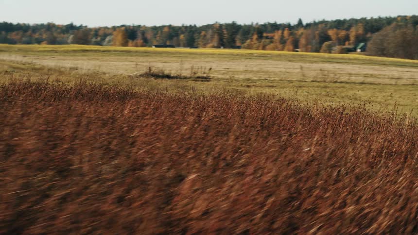 Open field and hills surrounded by forest and trees with fall colored leaves