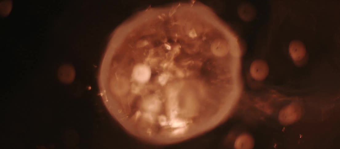 Gold brown and white colors that look like bubbles coming out of a straw