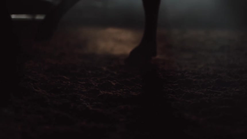 Hooves of an animal walking around inside of a building