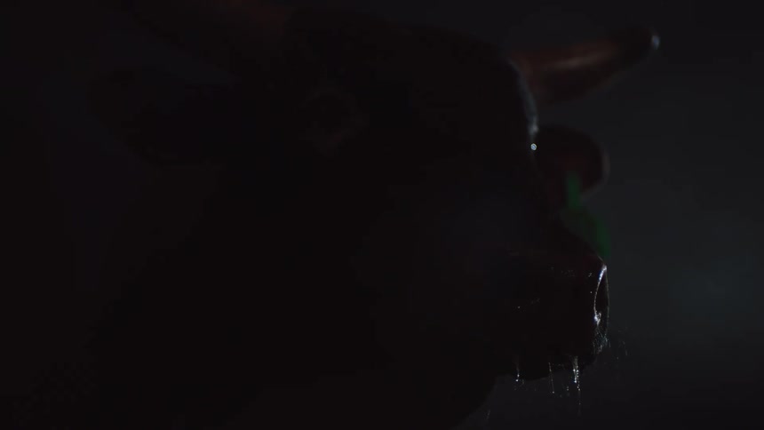 A cow standing in pitch black