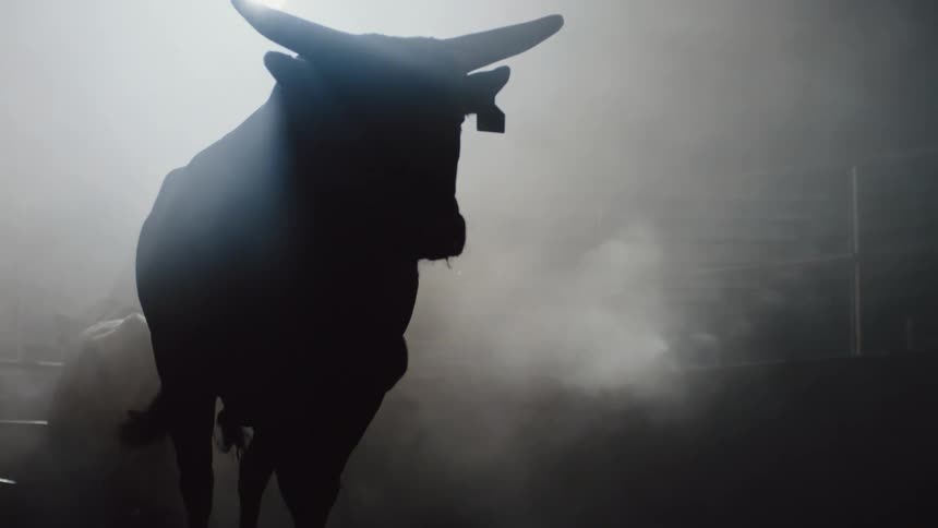A silhouette of a bull running around in a dark barn