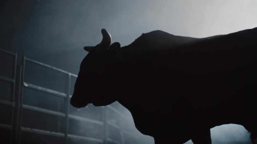 A silhouette of a bull inside of a caged area in a dark building