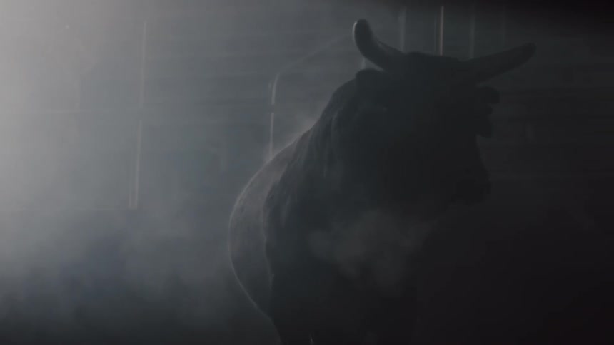 Bull walking in dark room