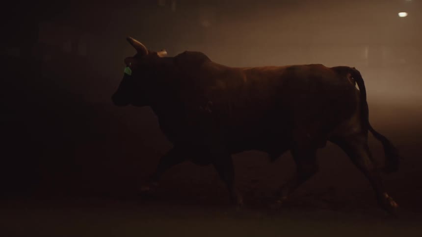 A bull runs around a ring and kicks up dirt as a rancher watches from afar