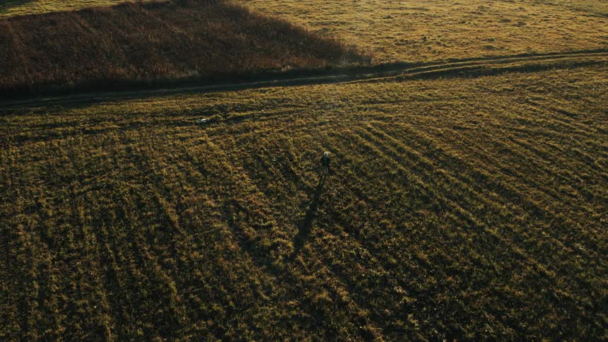 Child wearing a knit hat and a jacket is flying a drone in an open field