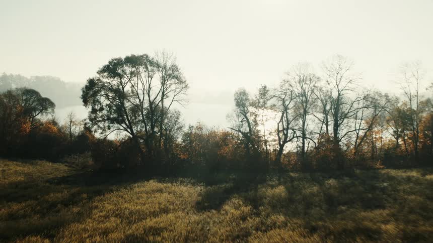A lake and prairie in the countryside on a foggy morning
