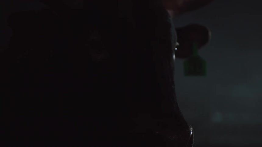Bull with a dripping snout standing inside a dimly lit stable