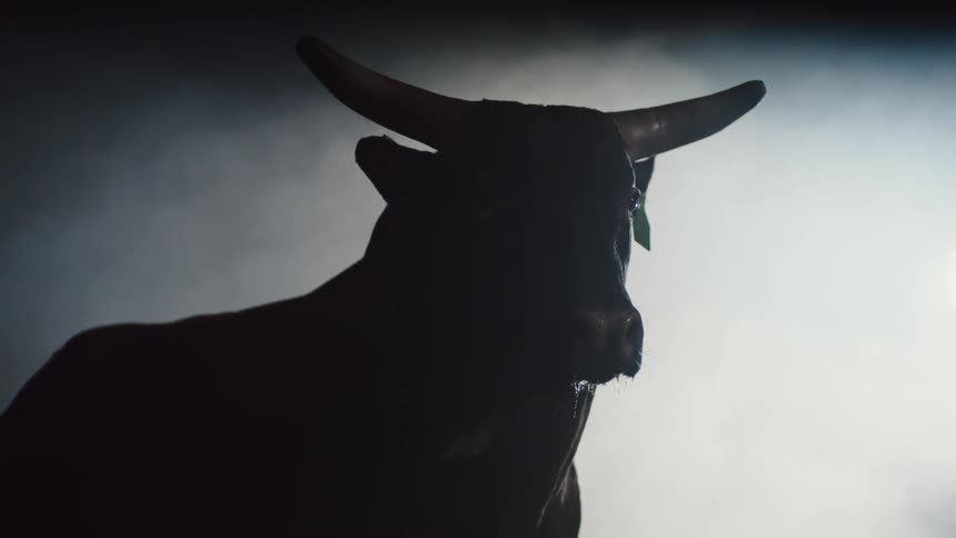 Dark bull in the stable is silhouetted against the light