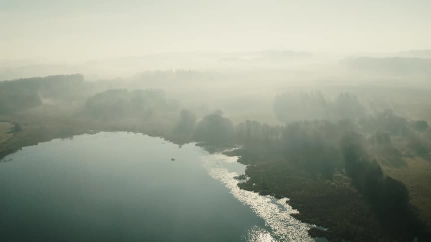 Aerial view of forest and waterway with small boat