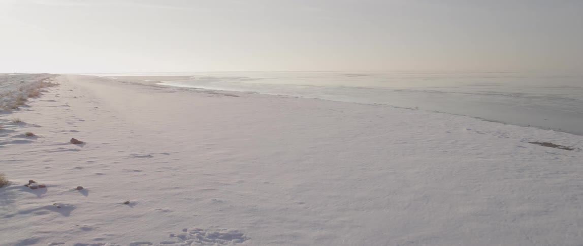 Moving over a shore covered with snow