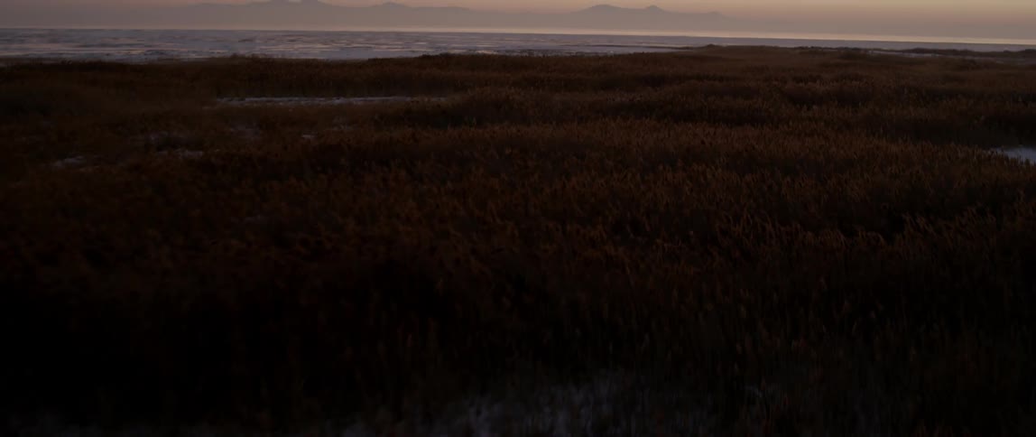 Aerial view of a field before a shore at sunset