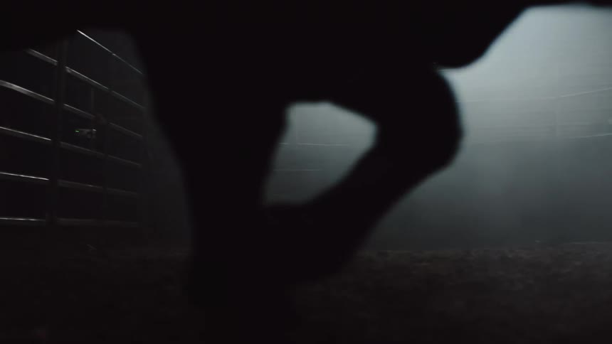 A bull in a bullpen with railing a wall and a window in the background