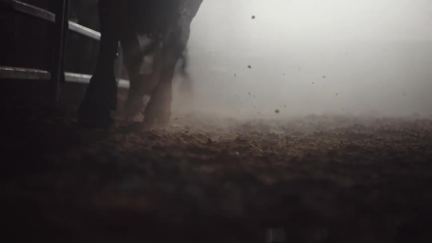 Silhouettte of a bull energetically moving inside a dimly lit foggy stable