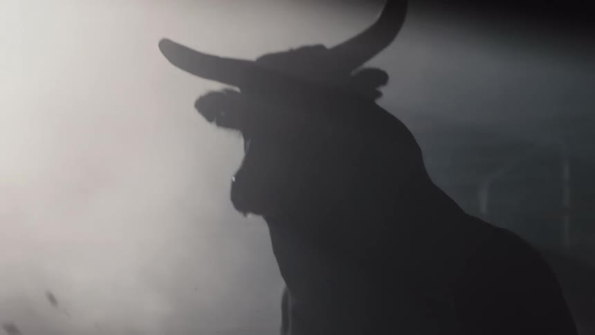 A bull kicks up dirt as it runs through a dirt ring and toward a fence