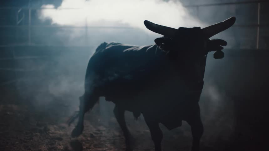 Silhouette of a bull energetically moving inside a dimly lit foggy stable