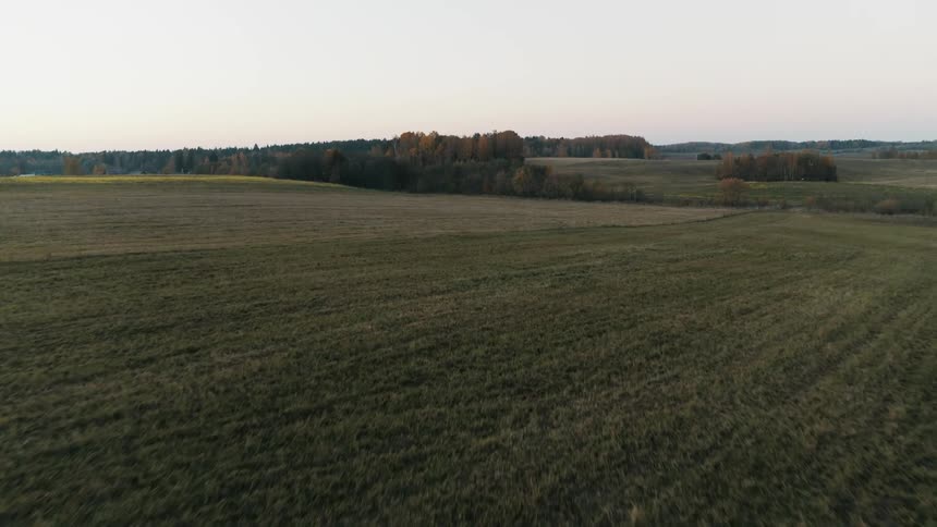 Aerial view of boy standing in the field at dusk