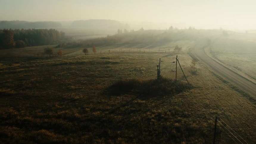 Heavy fog covers the field in the distance
