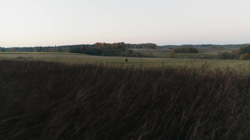 Aerial view of a man standing on the field near a farm piloting a drone