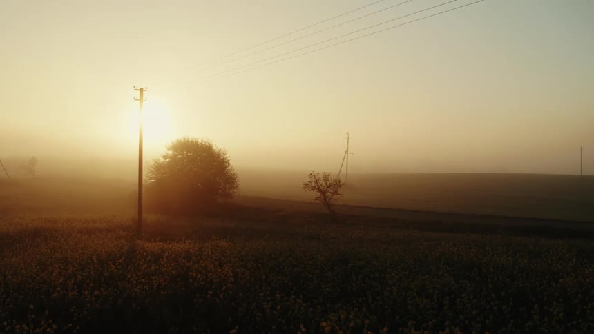 SUV on a road lined with utility poles with a bright hazy orange sky