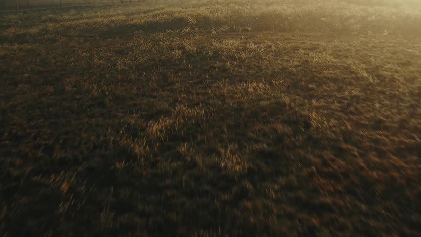 A vast field of grass with a road running through it during the day