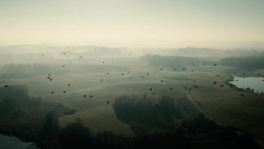 A flock of birds flies over a lake surrounded by trees and mountains on the horizon under a hazy sky