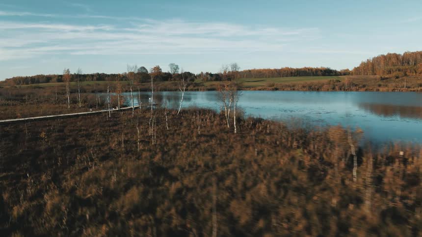 Aerial view of the a boardwalk leading to the calm waters of a lake in the countryside