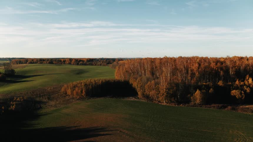A vast countryside covered in hills and forest under a clear daytime sky