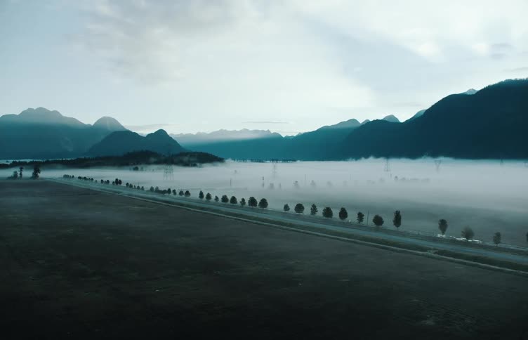 Fog covering the bottom of mountains near trees
