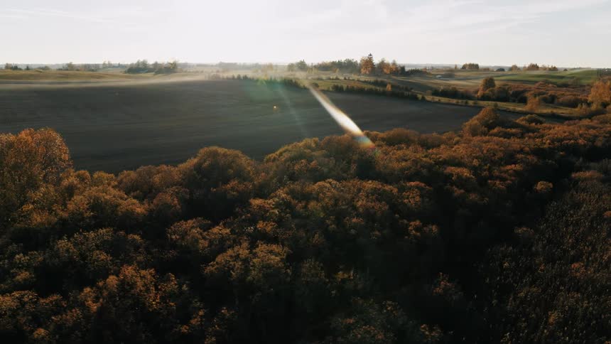 Aerial view of the fields and trees near the calm waters of a lake in the countryside