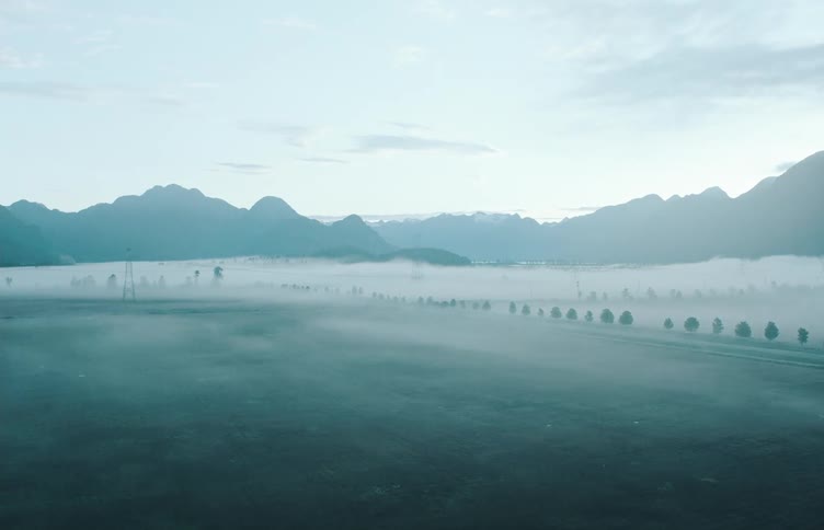 An aerial view of silhouetted trees growing near mountains in nature