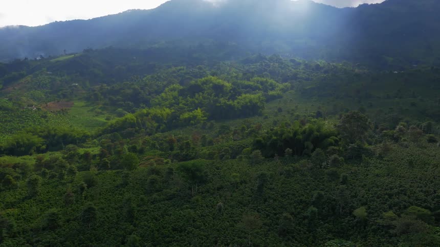 An aerial view of a forest in the hills