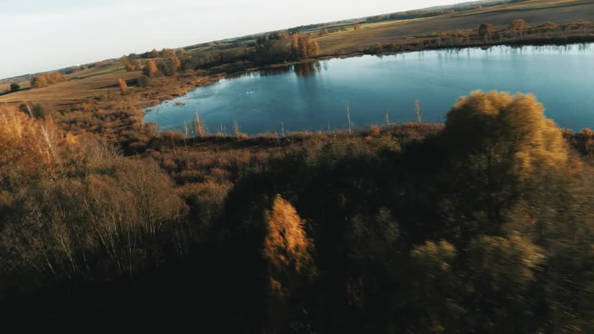 An aerial view of a lake surrounded by trees and grassland