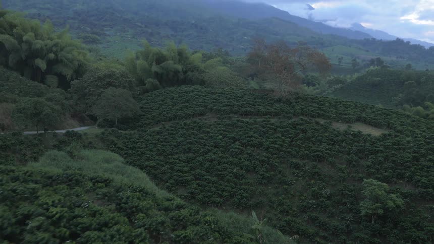 An aerial shot of a wooded green area on the mountains