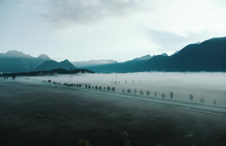 An aerial view of fog over a grassland