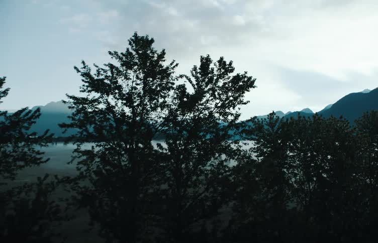 Fog obscures area between tree and road bordered field and mountains under cloudy sky