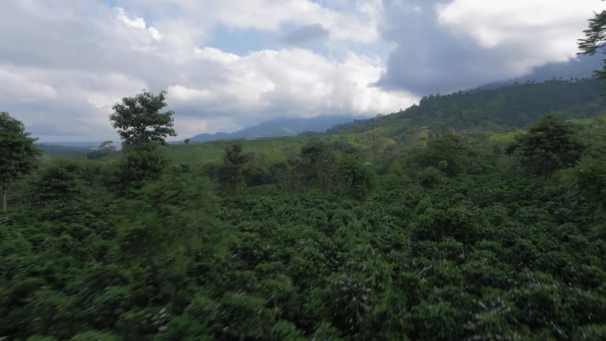 A landscape with trees and hills with the sky and clouds in the background