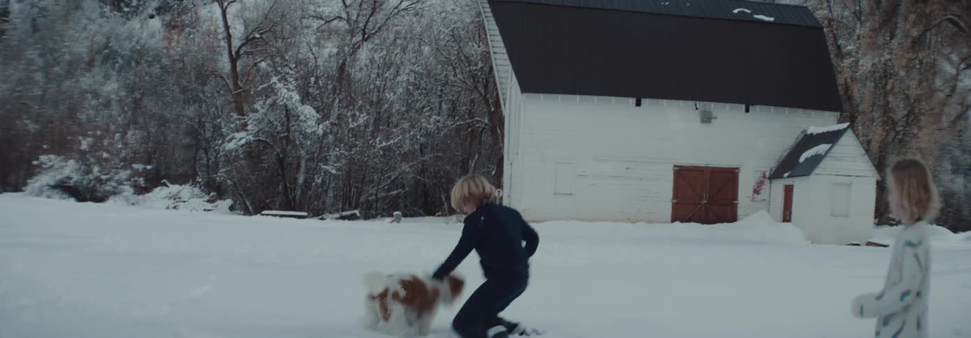 A small white and tan dog plays in snow with siblings in rural backyard